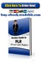 Thumbnail Newbies Guide to PLR Thumbnail Newbies Guide to PLR