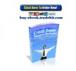 Thumbnail Credit Repair Success Strategies