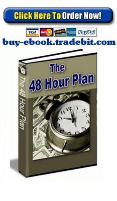 Product picture The 48 Hour Plan