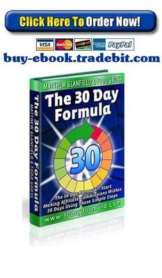 Product picture The 30 Day Formula