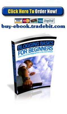 Product picture Blogging Basics For Beginners