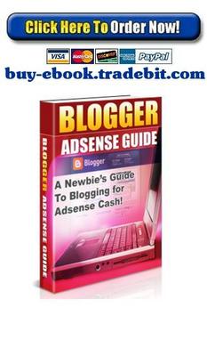 Product picture Blogger Adsense