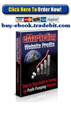 Product picture eMarketing Website Profits 