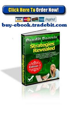 Product picture Credit Repair Strategies