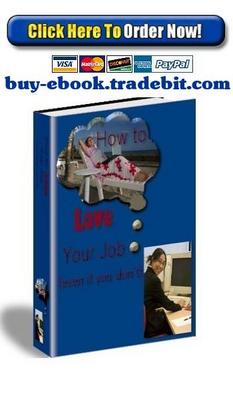 Product picture How To Love Your Job