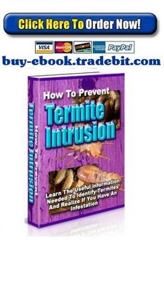 Product picture How To Prevent Termite Intrusion
