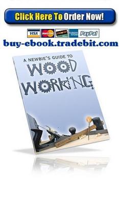 Product picture A Newbies Guide to Woodworking