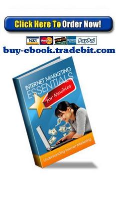 Product picture Internet Marketing Essentials For Newbies