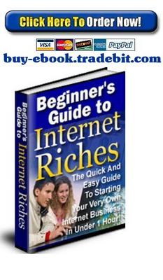 Product picture Beginners Guide To Internet Riches