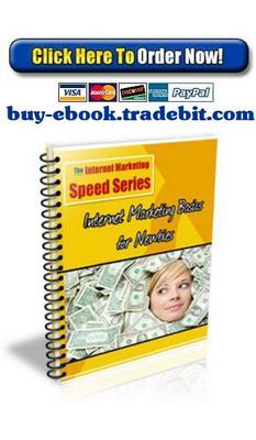 Product picture Internet Marketing Basics for Newbies