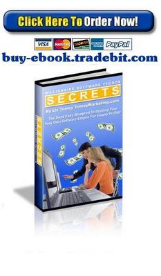 Product picture Millionaire Software Tycoon Secrets