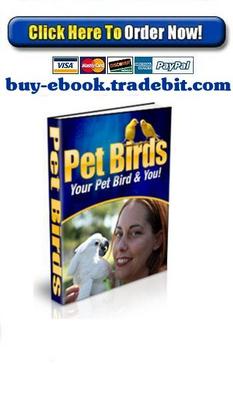 Product picture Pet Birds