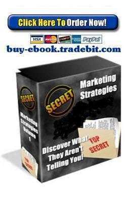 Product picture Secret Marketing Strategies