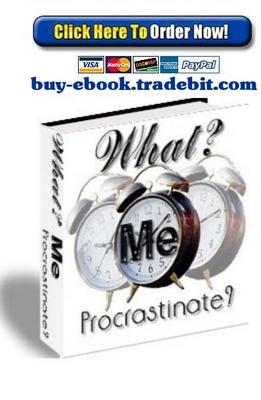 Product picture What? Me Procastinate?