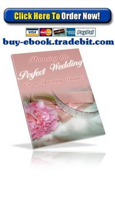 Product picture Planning the Perfect Wedding on a Shoestring Budget