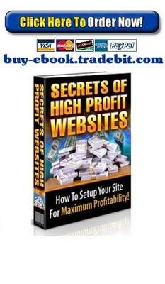 Product picture Secrets of High Profit Websites