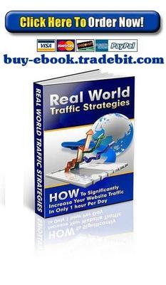 Product picture Real World Traffic Strategies