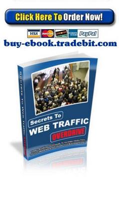 Product picture Secrets To Web Traffic Overdrive