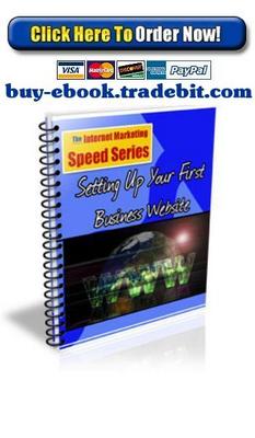 Product picture Setting Up Your First Business Website