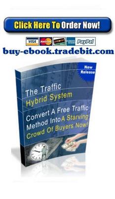 Product picture The Traffic Hybrid System