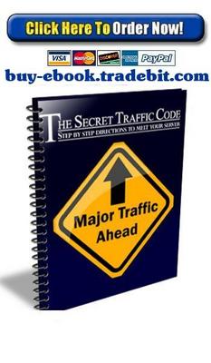 Product picture The Secret Traffic Code