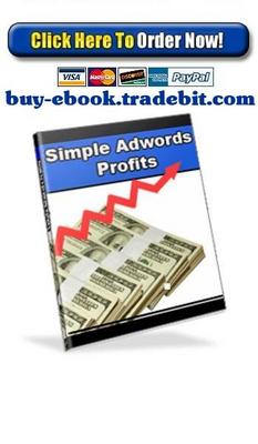 Product picture Simple AdWords Profits
