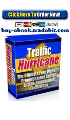 Product picture Traffic Hurricane V2.0