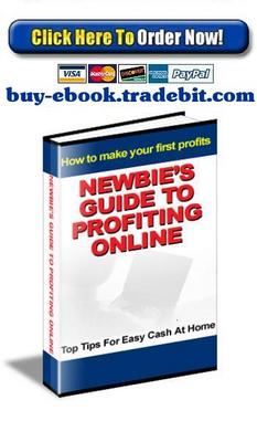 Product picture Newbies Guide To Profiting Online