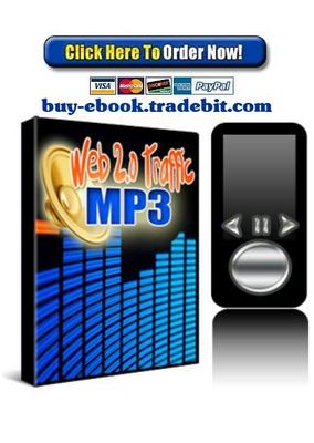 Product picture Web 2.0 Traffic MP3