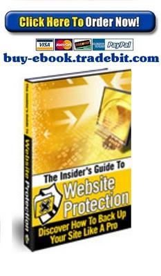 Product picture The Insiders Guide To Website Protection