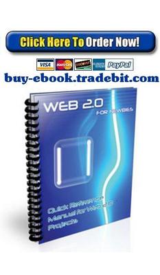 Product picture Web 2.0 For Newbies