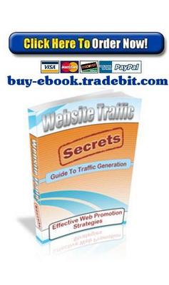 Product picture Website Traffic Secrets