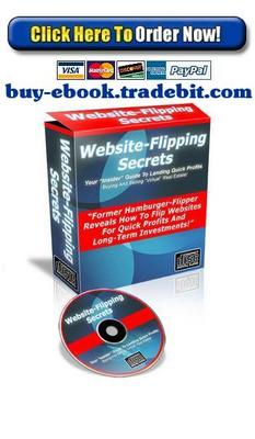 Product picture Website Flipping Secrets