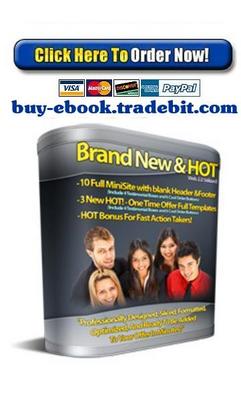 Product picture Web 2.0 Minisite Templates