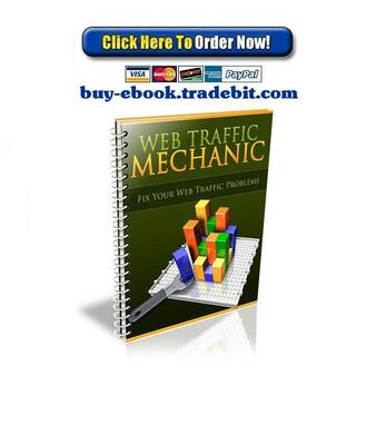 Product picture Web Traffic Mechanic