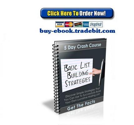 Product picture Basic List Building Strategies