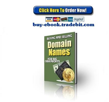 Product picture Buying and Selling Domain Names
