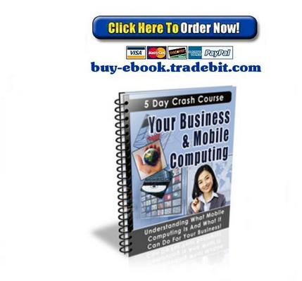 Product picture Your Business & Mobile Computing Crash Course