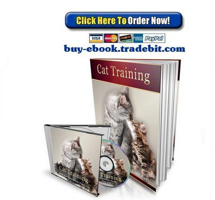 Product picture Cat Training
