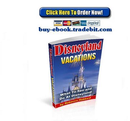 Product picture Disneyland Vacation
