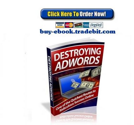 Product picture Destroying Adwords