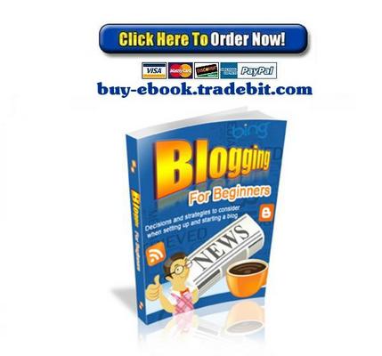 Product picture Blogging For Beginners