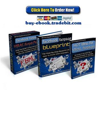 Product picture Facebook Fanpage Blueprint