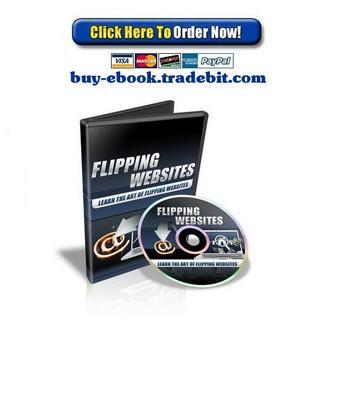 Product picture Flipping Websites