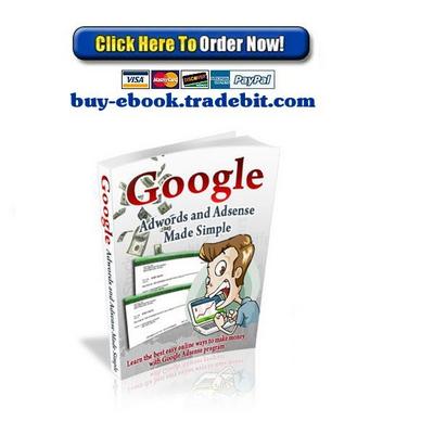 Product picture Google Adwords and Adsense Made Simple