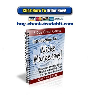 Product picture Introduction To Niche Marketing Crash Course