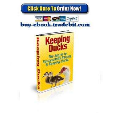 Product picture Keeping Ducks