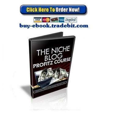 Product picture The Niche Blog Profitz Course