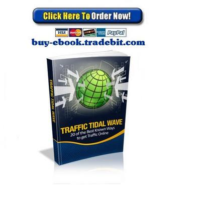 Product picture Traffic Tidal Wave