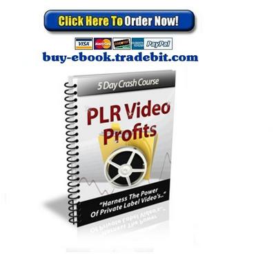 Product picture PLR Video Profits Crash Course